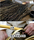 3. 닥나무껍질 벗기기