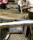 8. 수세와 일광표백
