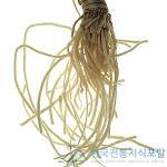 골풀 이미지