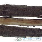멀구슬나무 이미지