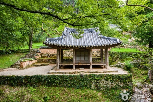 담양 가볼만한곳, 푸른 대나무 숲과 고즈넉한 전통 정원의 조화